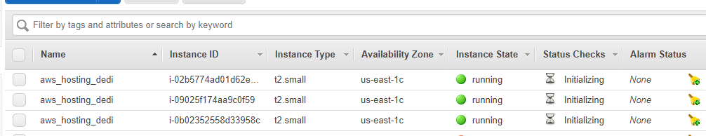 _images/dedicated-server-aws-instance.png